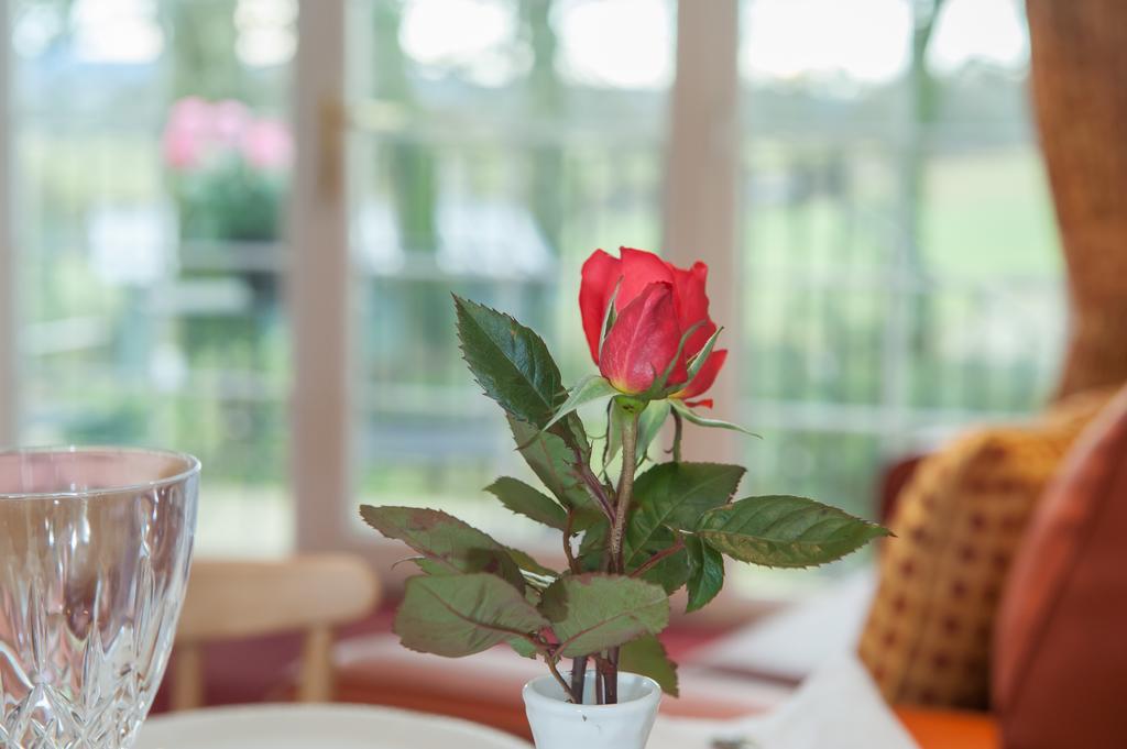 Loaninghead Holidays Drymen Rom bilde